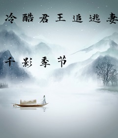 冷酷君王追逃妻