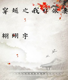 穿越之我非侬妻