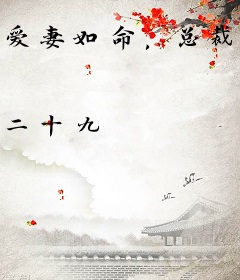 爱妻如命，总裁的二婚新娘