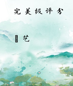 完美级评分