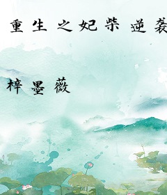 重生之妃柴逆袭