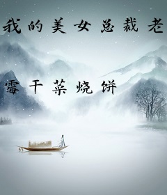 我的美女总裁老婆