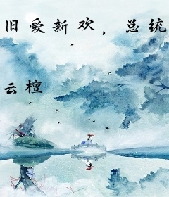 旧爱新欢，总统请离婚