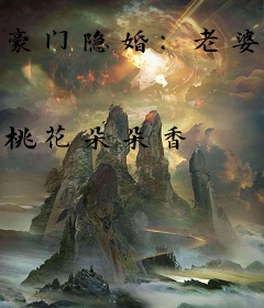 豪门隐婚：老婆别闹了