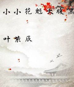 小小花魁大腹黑