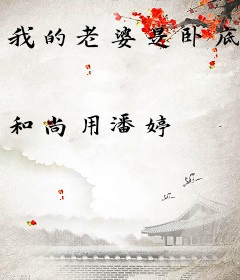 我的老婆是卧底