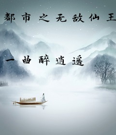 都市之无敌仙王