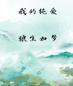 我的纯爱