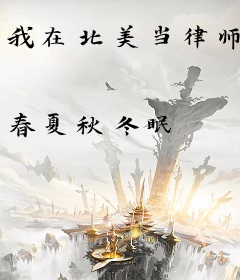 我在北美当律师