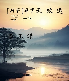 [HP]47天改造