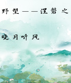 野望——涅磐之凤翔