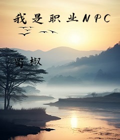 我是职业NPC
