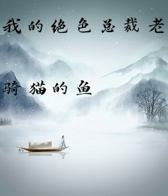 我的绝色总裁老婆