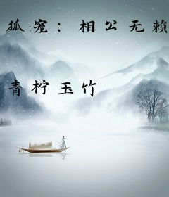 狐宠：相公无赖