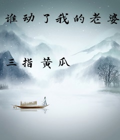 谁动了我的老婆