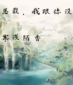 总裁，我跟你没完！