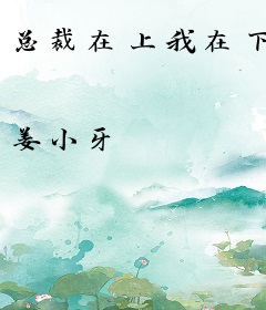 总裁在上我在下