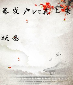 暴发户vs真土豪（GL）