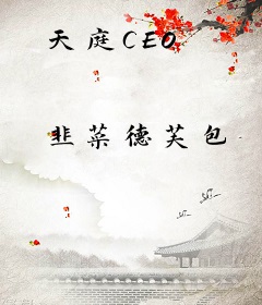 天庭CEO