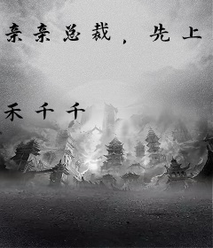 亲亲总裁，先上后爱