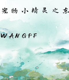 宠物小精灵之东方守护者