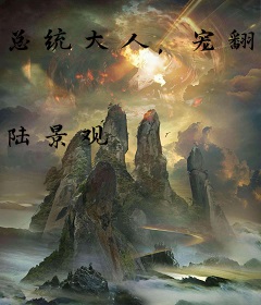 总统大人，宠翻天！