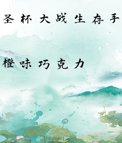 圣杯大战生存手册