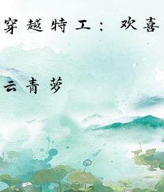 穿越特工：欢喜冤家醉姻缘