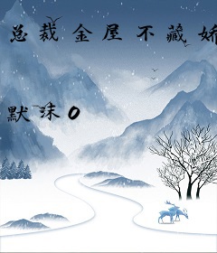 总裁金屋不藏娇