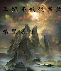 王妃不做聚宝盆