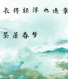 长得轻浮也违章