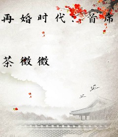 再婚时代：首席前夫你够了