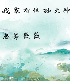 我家有位孙大神