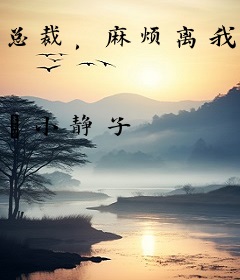 总裁，麻烦离我远点