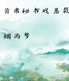 首席秘书戏总裁