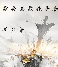 霸爱总裁杀手妻