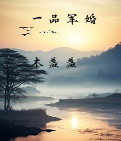 一品军婚