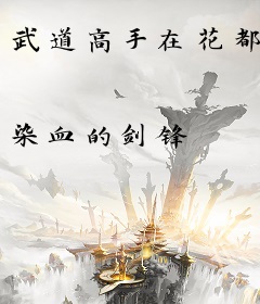 武道高手在花都