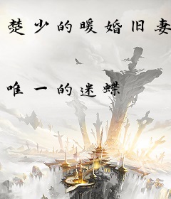 楚少的暖婚旧妻