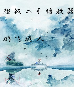 超级二手播放器