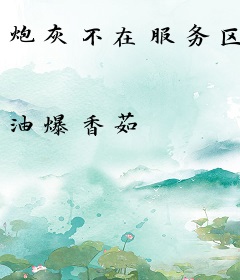 炮灰不在服务区