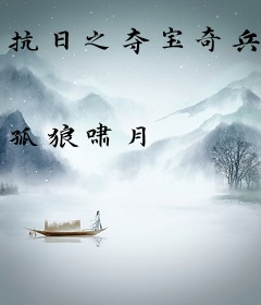 抗日之夺宝奇兵