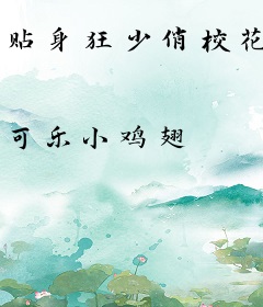 贴身狂少俏校花