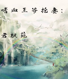 嗜血王爷抢妻：狂妃太彪悍