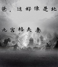 爸，这好像是北宋