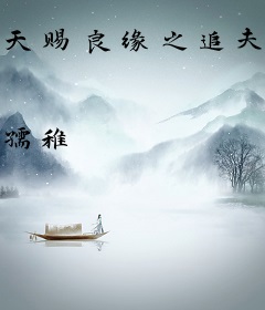 天赐良缘之追夫记