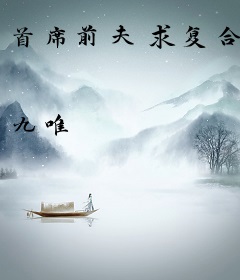 首席前夫求复合