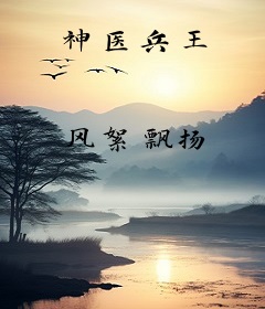 神医兵王