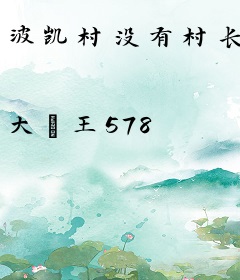 波凯村没有村长