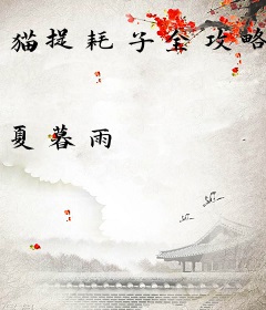 猫捉耗子全攻略